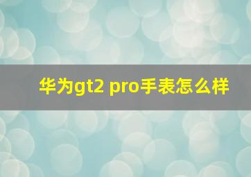 华为gt2 pro手表怎么样